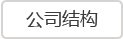 公司結構
