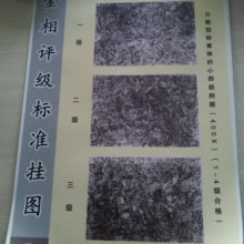 重載齒輪金相評級標準掛圖